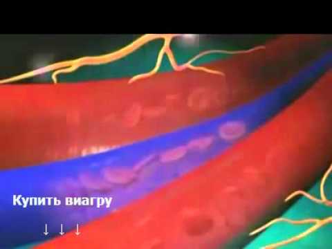Виагра таблетки инструкция по применению, цена, отзывы.
