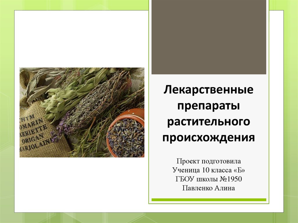 Аналог виагры — ArtMania