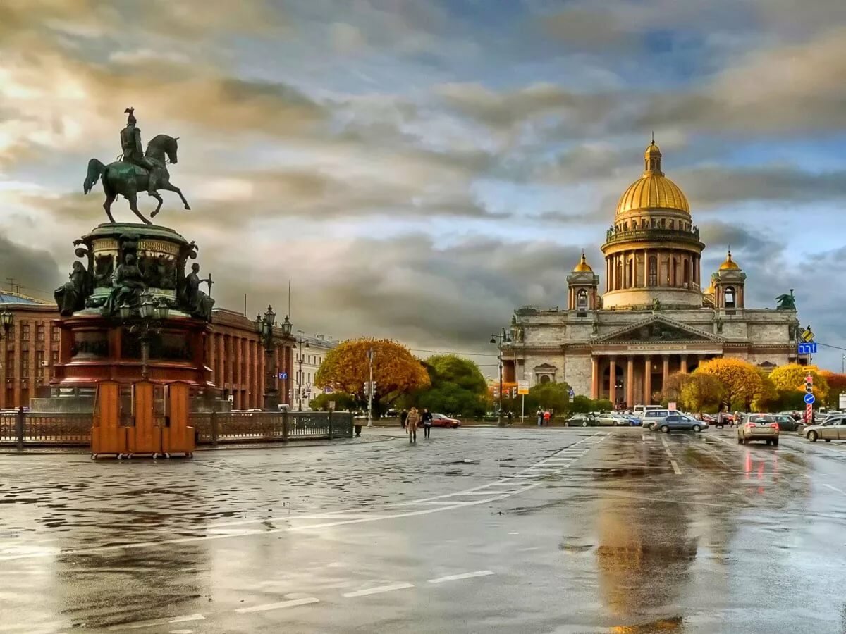 Небидо – купить по низкой цене в Санкт-Петербурге в интернет.
