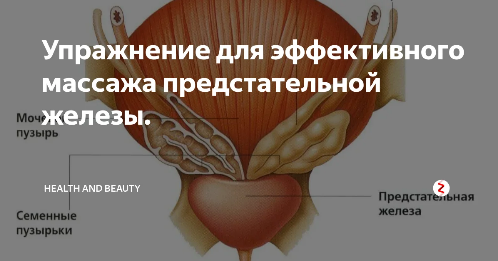 Виагры что нужно знать