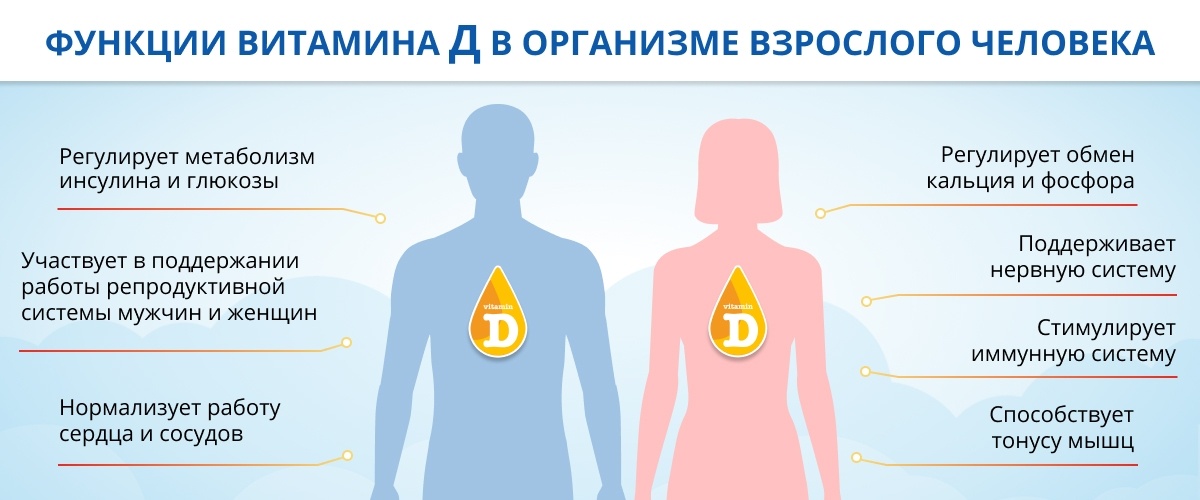 Как и сколько принимать.