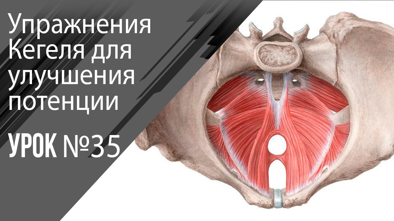 Упражнения для потенции мужчинам в домашних условиях