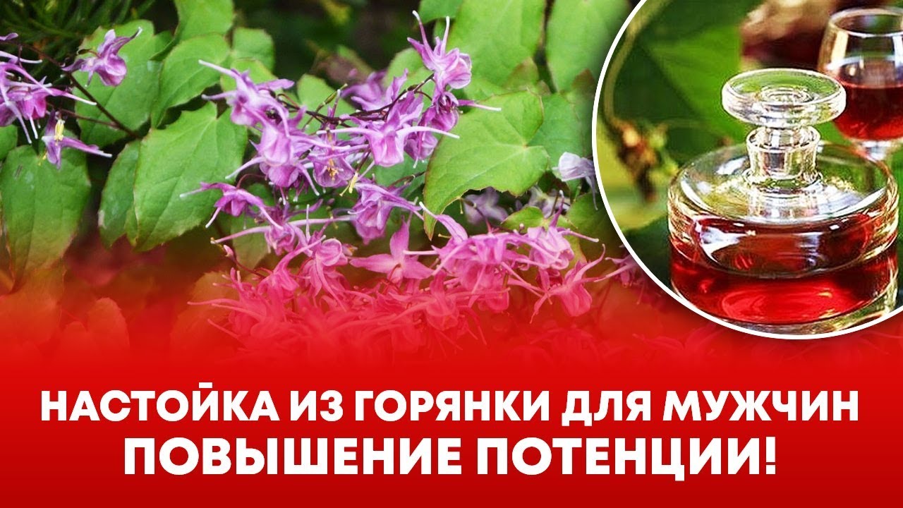 Самые эффективные препараты для потенции MedAboutMe
