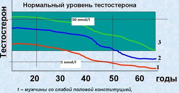 Как быстро увеличить потенцию у мужчин в домашних условиях и усилить ее.