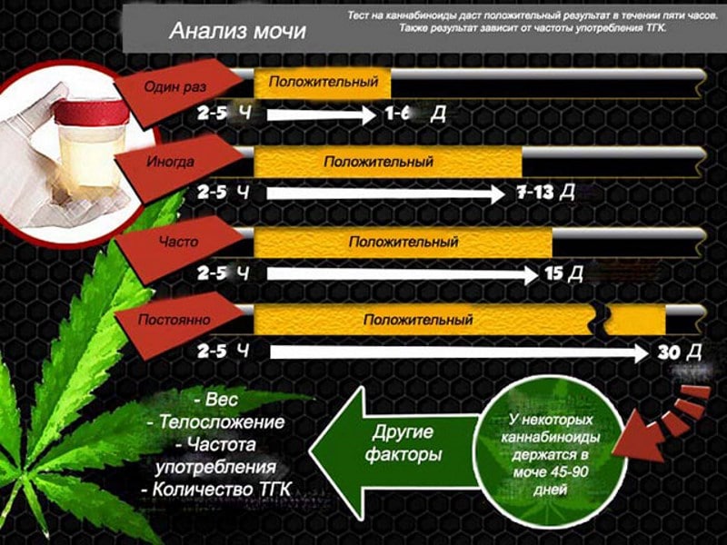 Выведение амфетамина сколько держится амфетамин в организме?
