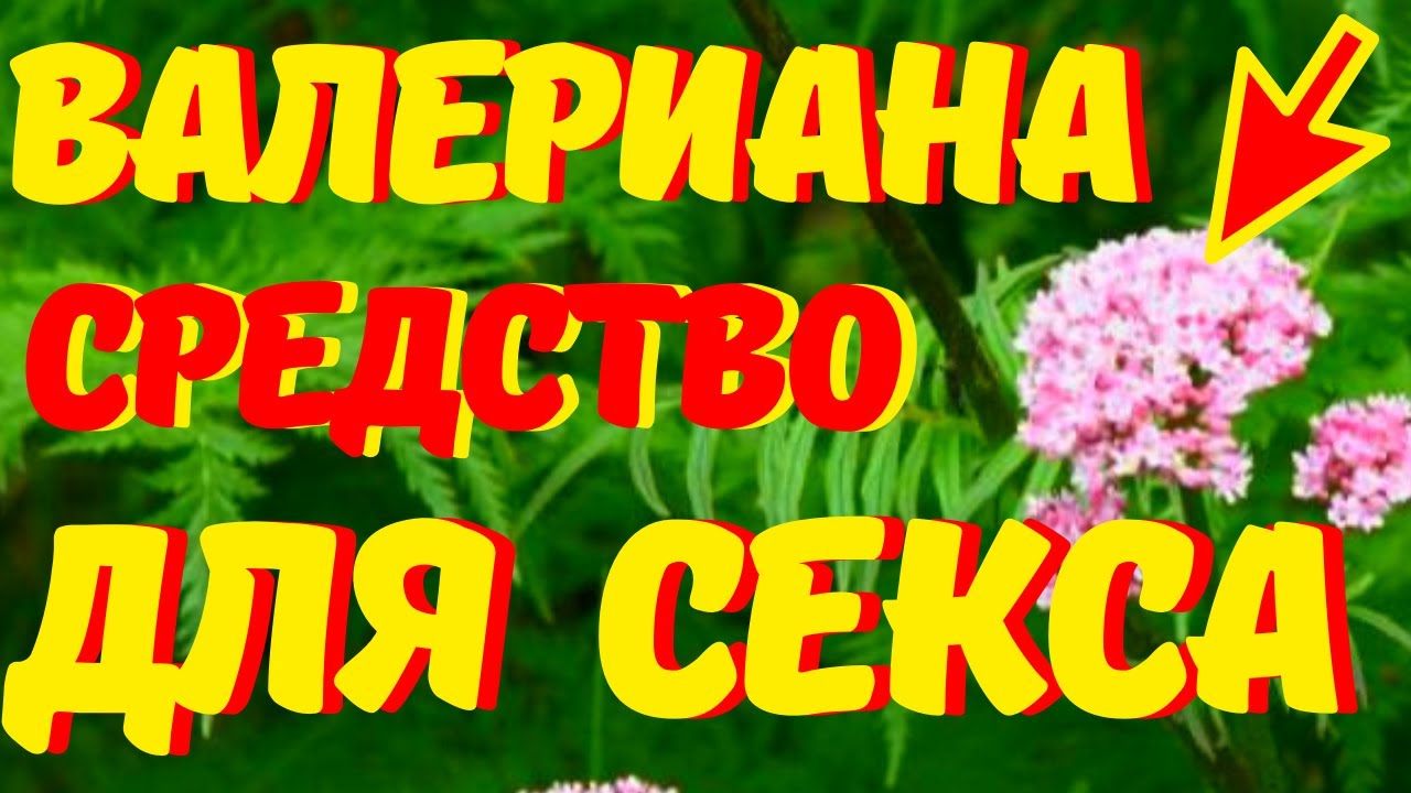 Как сделать секс лучше с иллюстрациями - wikiHow