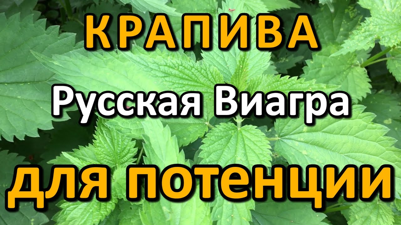Виагра инструкция + цена от 188 грн в аптеках Tabletki.ua