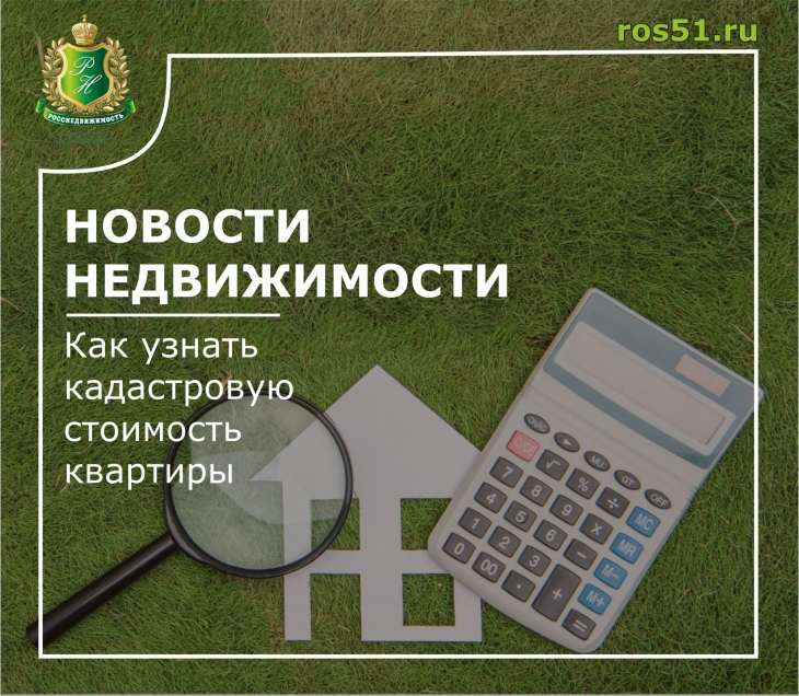 Небидо инструкция, аналоги, как принимать — все про препарат Compendium