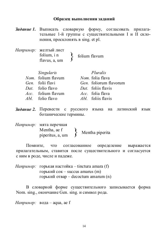 Выписать Небидо – Telegraph