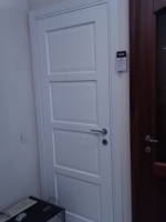 Дверь Pail Opera, шпоня ясеня, 10000 руб.