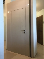 Дверь со стеновыми панелями BARAUSSE SHINY TORTORA, 10000 руб